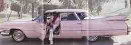 Jonny Winters mit Cadillac